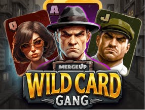 um.bet cassino